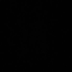 Meet your Posher, Terrell